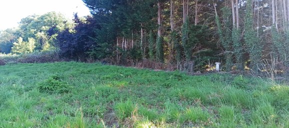 Terreno en Neuville-Bosc, France No. 261817 2