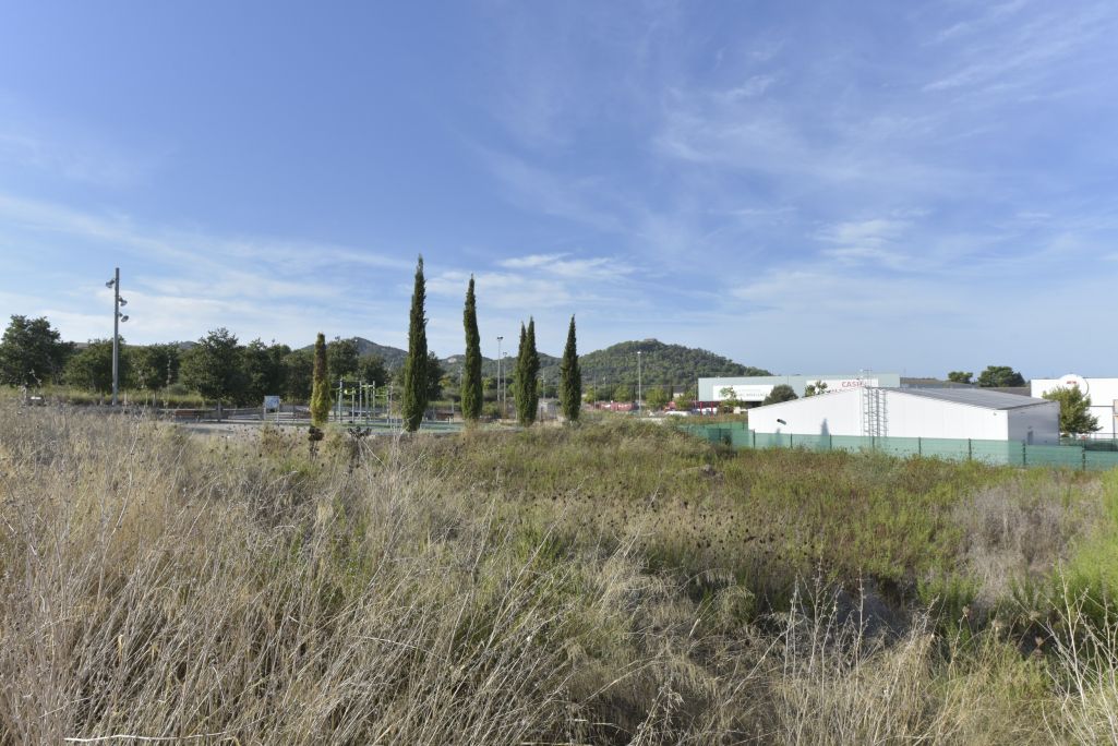  Land in Manacor, Spain No. 240112