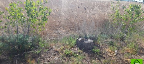 Земельный участок 34237м² в Самора, Испания № 92482 2