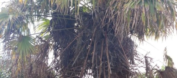 Земельный участок 34237м² в Самора, Испания № 92482 11