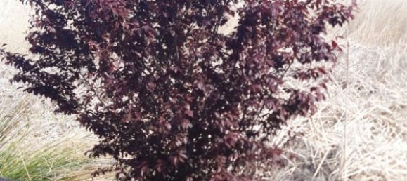 Земельный участок 34237м² в Самора, Испания № 92482 8