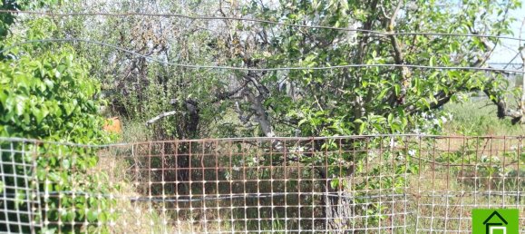 Земельный участок 34237м² в Самора, Испания № 92482 29