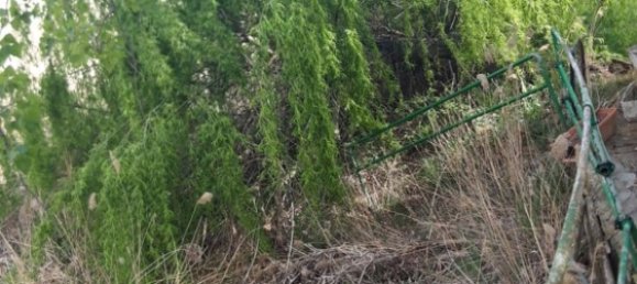 Земельный участок 34237м² в Самора, Испания № 92482 10