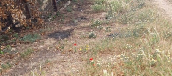 Земельный участок 34237м² в Самора, Испания № 92482 23