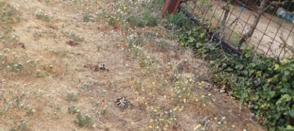 Земельный участок 34237м² в Самора, Испания № 92482 24