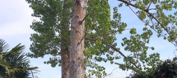 Земельный участок 34237м² в Самора, Испания № 92482 18