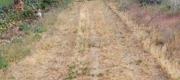 Земельный участок 34237м² в Самора, Испания № 92482 3