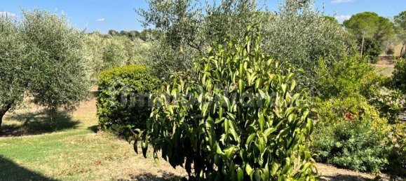 4 bedrooms House in Magliano in Toscana, Italy No. 110162 12