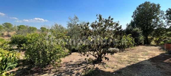 4 bedrooms House in Magliano in Toscana, Italy No. 110162 14