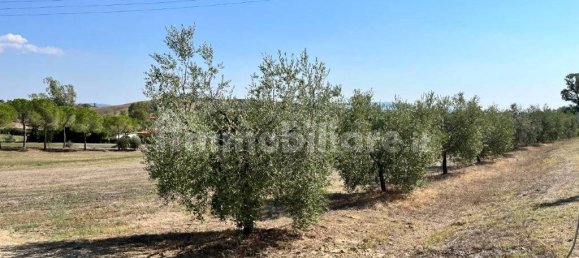 4 bedrooms House in Magliano in Toscana, Italy No. 110162 7