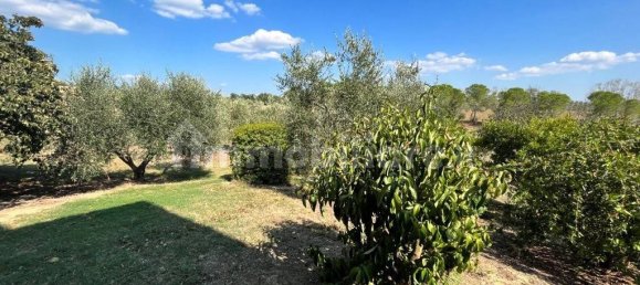 4 bedrooms House in Magliano in Toscana, Italy No. 110162 13