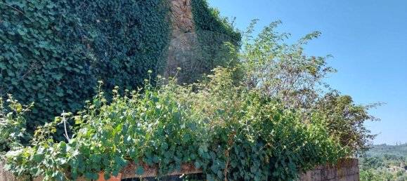 3 Schlafzimmer Haus in Tabua, Portugal, Nr. 169769 6