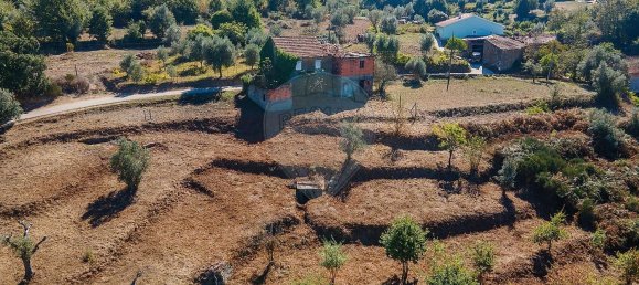 3 Schlafzimmer Haus in Tabua, Portugal, Nr. 169769 12