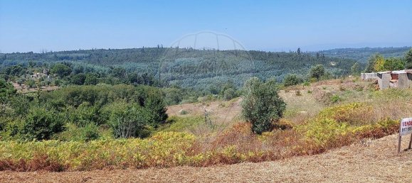 3 Schlafzimmer Haus in Tabua, Portugal, Nr. 169769 5