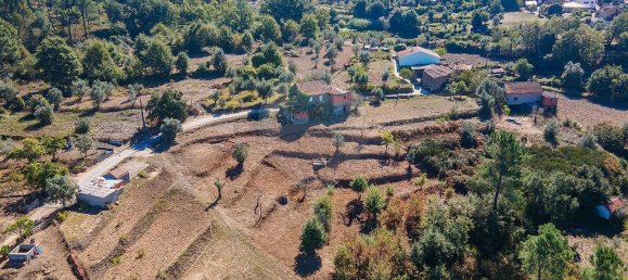 3 Schlafzimmer Haus in Tabua, Portugal, Nr. 169769 20