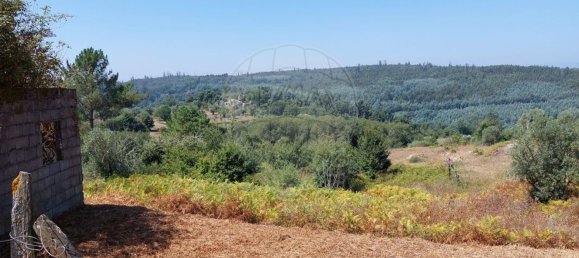 3 Schlafzimmer Haus in Tabua, Portugal, Nr. 169769 7