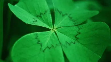  قطعة أرض في Deutsch Goritz, Austria 1595متر مربع رقم 194448