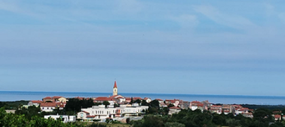 3-Zimmer Wohnung in Udine, Italy, Nr. 257252 2