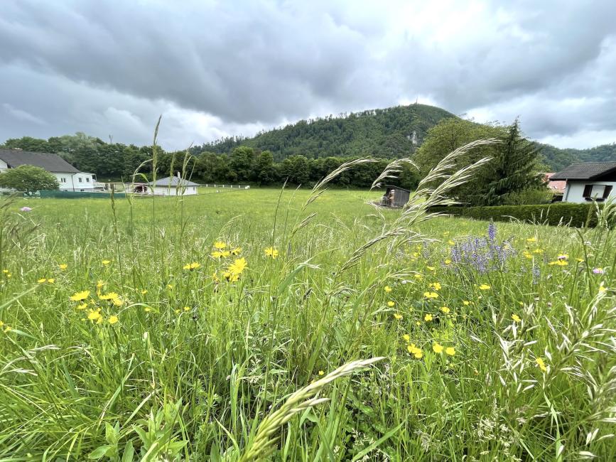 Grundstück in Gratkorn, Austria 6257m², Nr. 194174