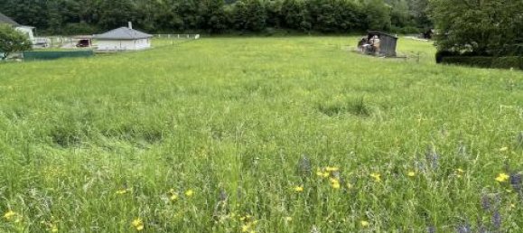 Grundstück in Gratkorn, Austria 6257m², Nr. 194174 4