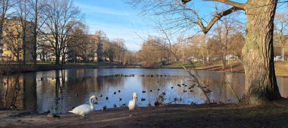 Studio in Reinickendorf, Germany, Nr. 38308 10