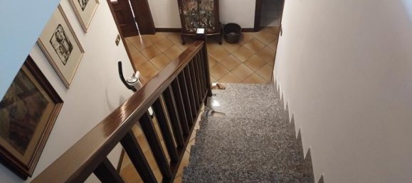 6 rooms House in Viareggio, Italy No. 232891 6