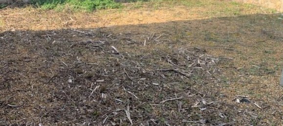 4 bedrooms House in Sainte-Maure-de-Touraine, France No. 84620 11