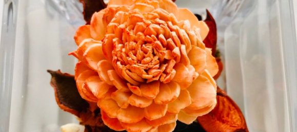 2 bedrooms Apartment in Binh Chanh, Vietnam No. 16516 13