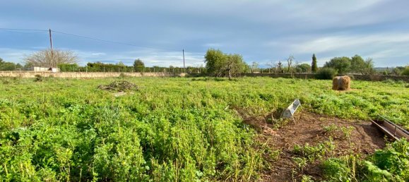 3 Schlafzimmer Haus in Santa Margalida, Spain, Nr. 76253 27
