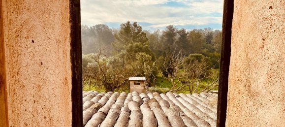 3 Schlafzimmer Haus in Santa Margalida, Spain, Nr. 76253 23