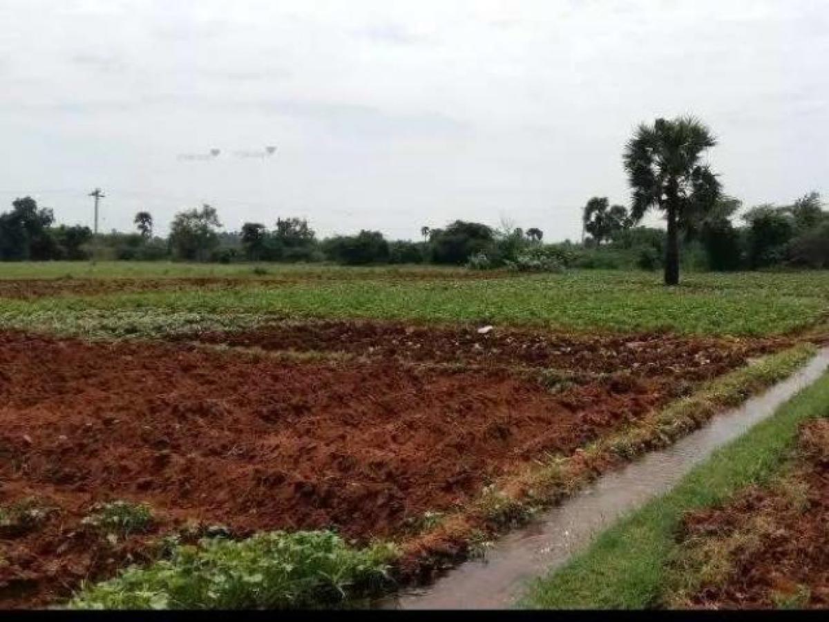  Land in Noida, India No. 65832