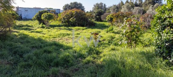 2 غرف نوم منزل في Olhao, Portugal رقم 110994 14