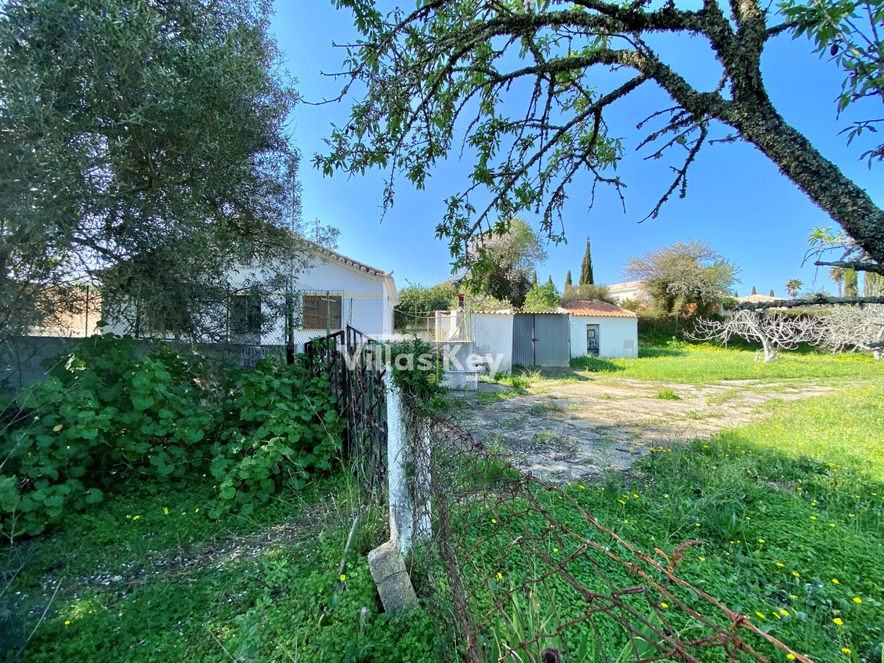  قطعة أرض في Lagos, Portugal 500متر مربع رقم 93117