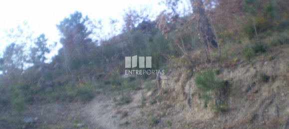 10090m² Land in Soalhaes, Portugal No. 57419 9