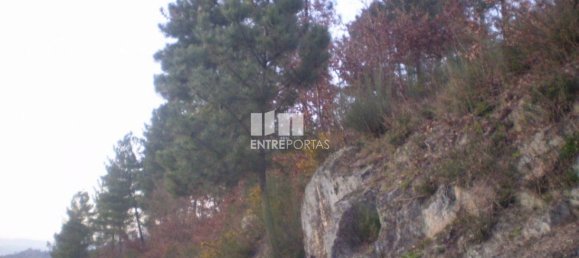 10090m² Land in Soalhaes, Portugal No. 57419 7