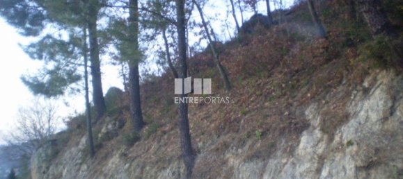 10090m² Land in Soalhaes, Portugal No. 57419 4
