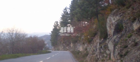 10090m² Land in Soalhaes, Portugal No. 57419 8