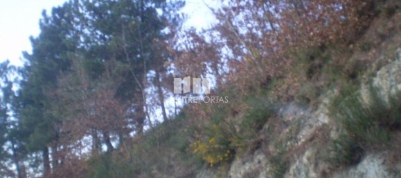 10090m² Land in Soalhaes, Portugal No. 57419 6