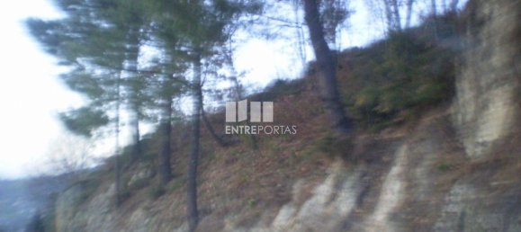 10090m² Land in Soalhaes, Portugal No. 57419 5
