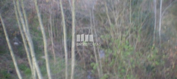 10090m² Land in Soalhaes, Portugal No. 57419 10