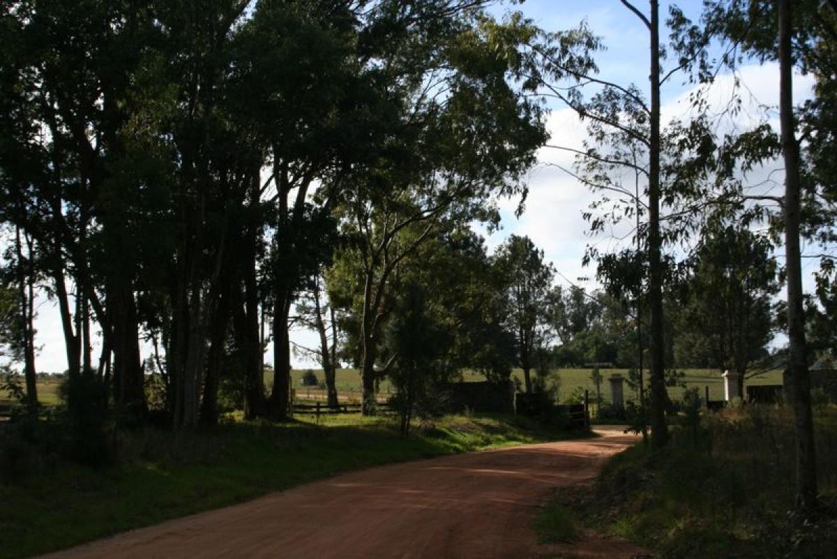 Grundstück in Maldonado, Uruguay, Nr. 15606