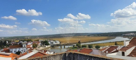 15 bedrooms Villa in Alcacer do Sal, Portugal No. 171880 4