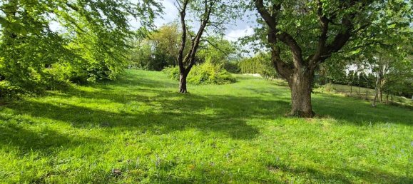 Grundstück in Kirchstetten, Austria 3990m², Nr. 166944 2