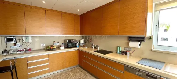 6 bedrooms Villa in Limassol, Cyprus No. 4441 14