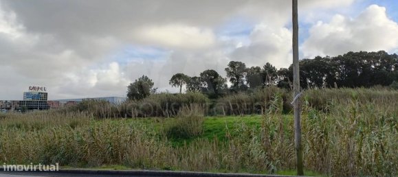 25000m² Land in Bombarral, Portugal No. 141830 4