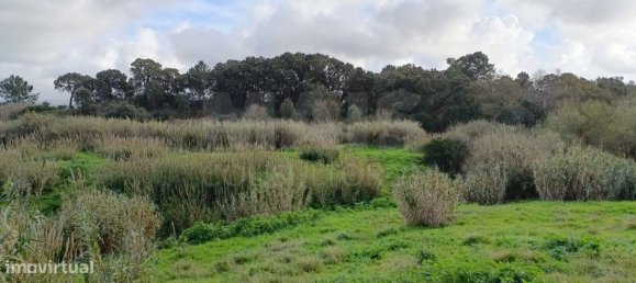 25000m² Land in Bombarral, Portugal No. 141830 3