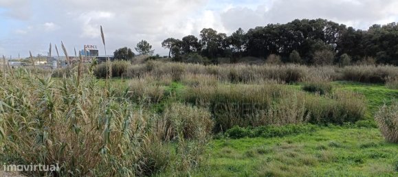 25000m² Land in Bombarral, Portugal No. 141830 2