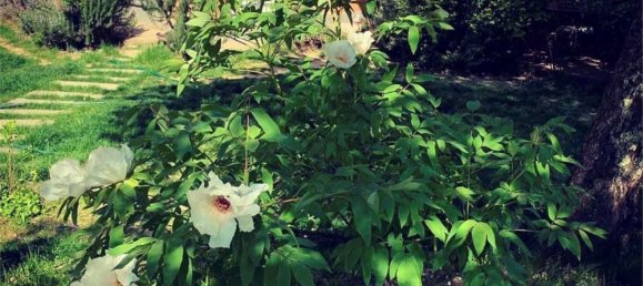 Villa de 3 dormitorios en Serravalle Scrivia, Italy No. 118646 21