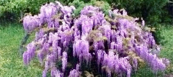 Villa de 3 dormitorios en Serravalle Scrivia, Italy No. 118646 15