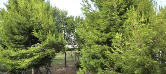 5 غرف نوم شقة في Martinsicuro, Italy رقم 324174 35